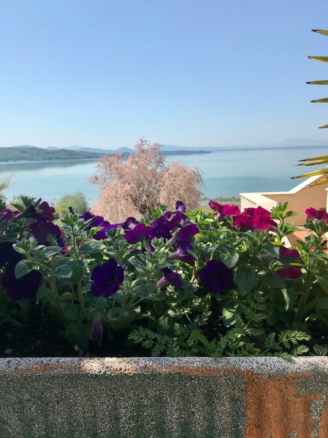 B&B Torre Del Lago Trasimeno 特拉西梅诺湖畔帕西尼亚诺 外观 照片