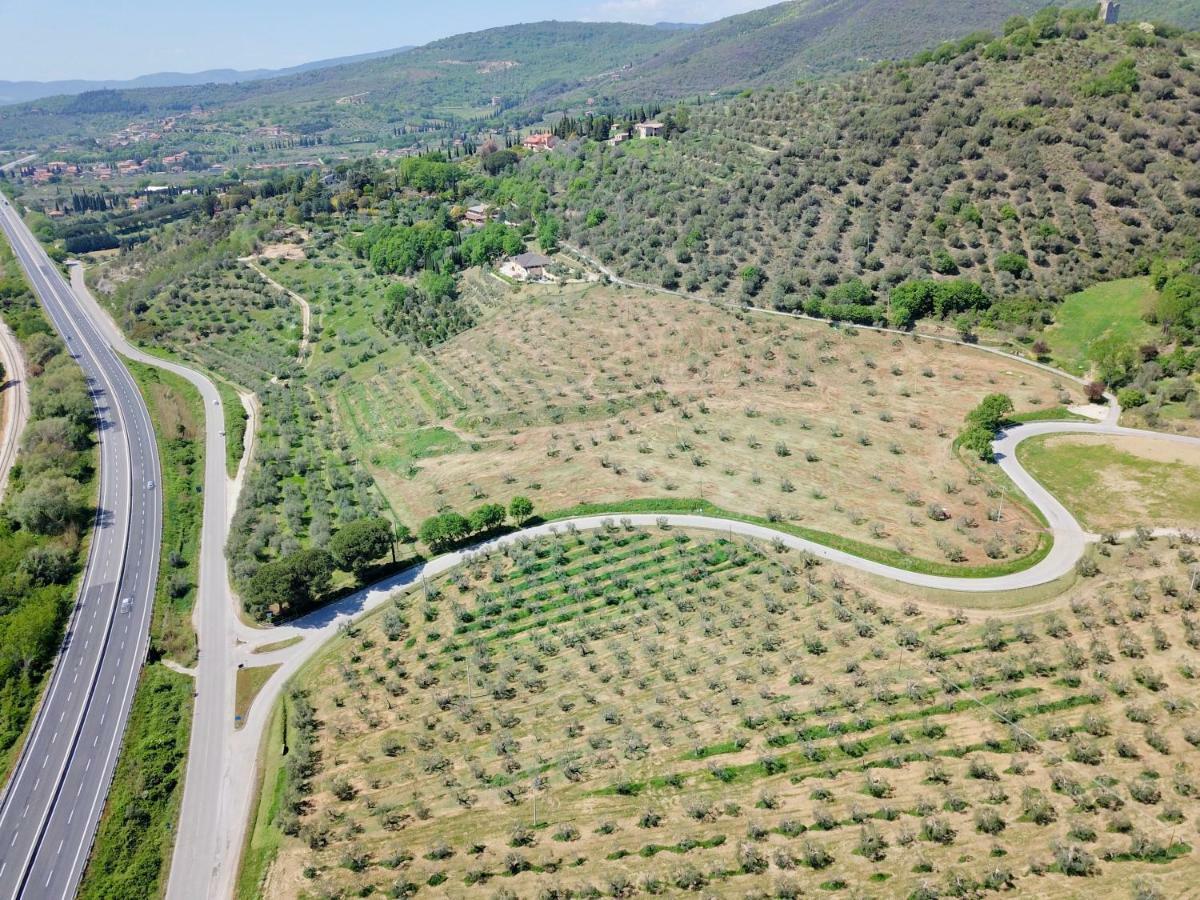 B&B Torre Del Lago Trasimeno 特拉西梅诺湖畔帕西尼亚诺 外观 照片